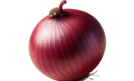 Onion