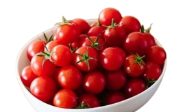 Tomato